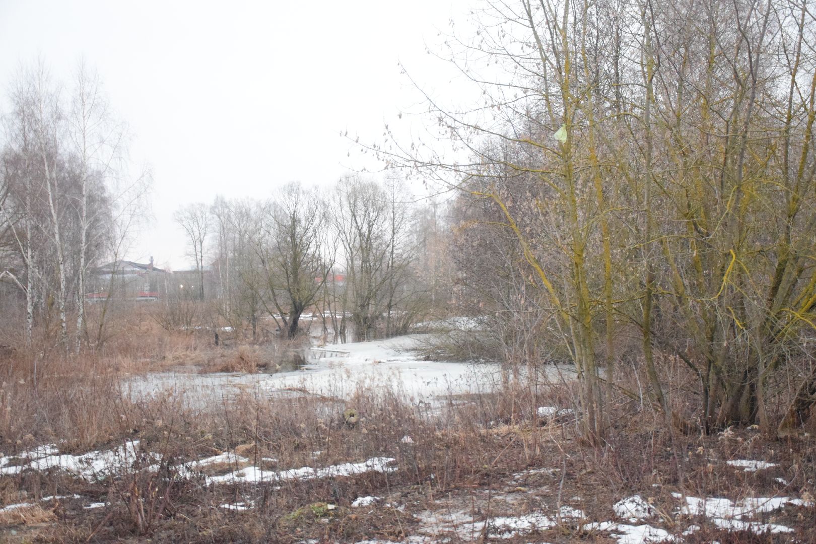 Павловский Посад, городской округ Павловский Посад, парк, благоустройство, строительство, Зелёный узел