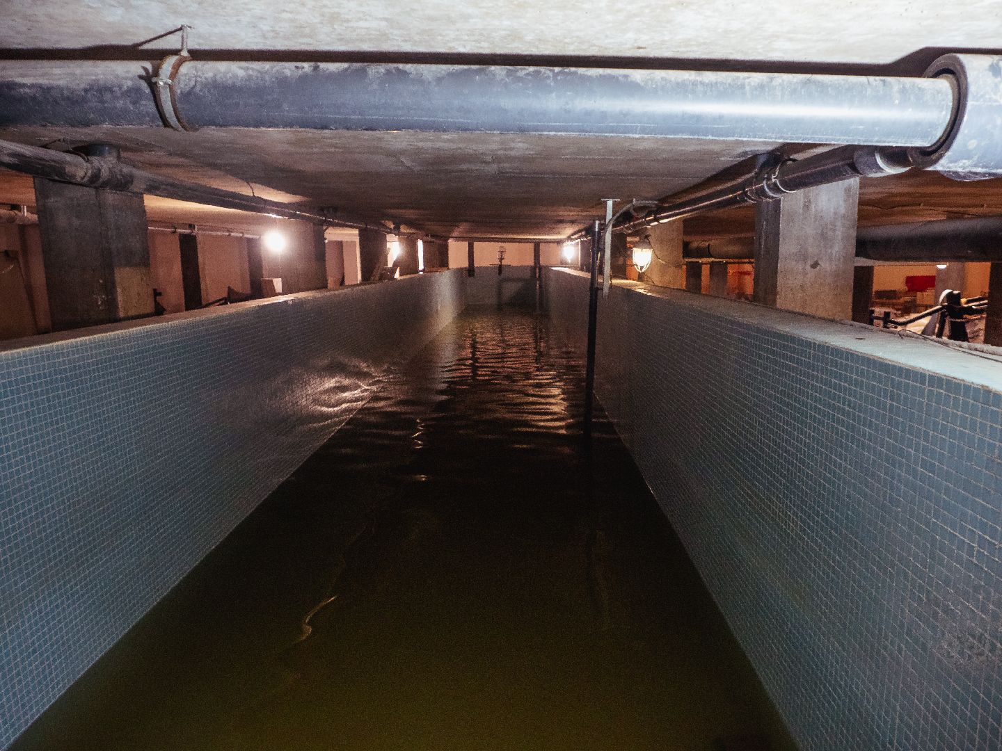 подмосковье, истра, бассейн, профилактика,