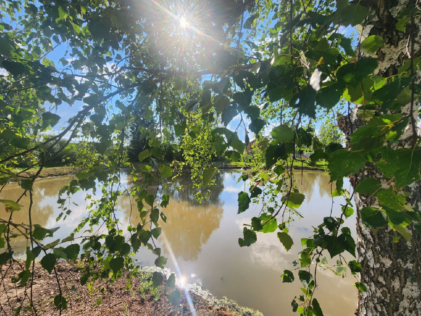 можайск, можайский городской округ, подмосковье, пожарный пруд, благоусройство, расчистка пруда,