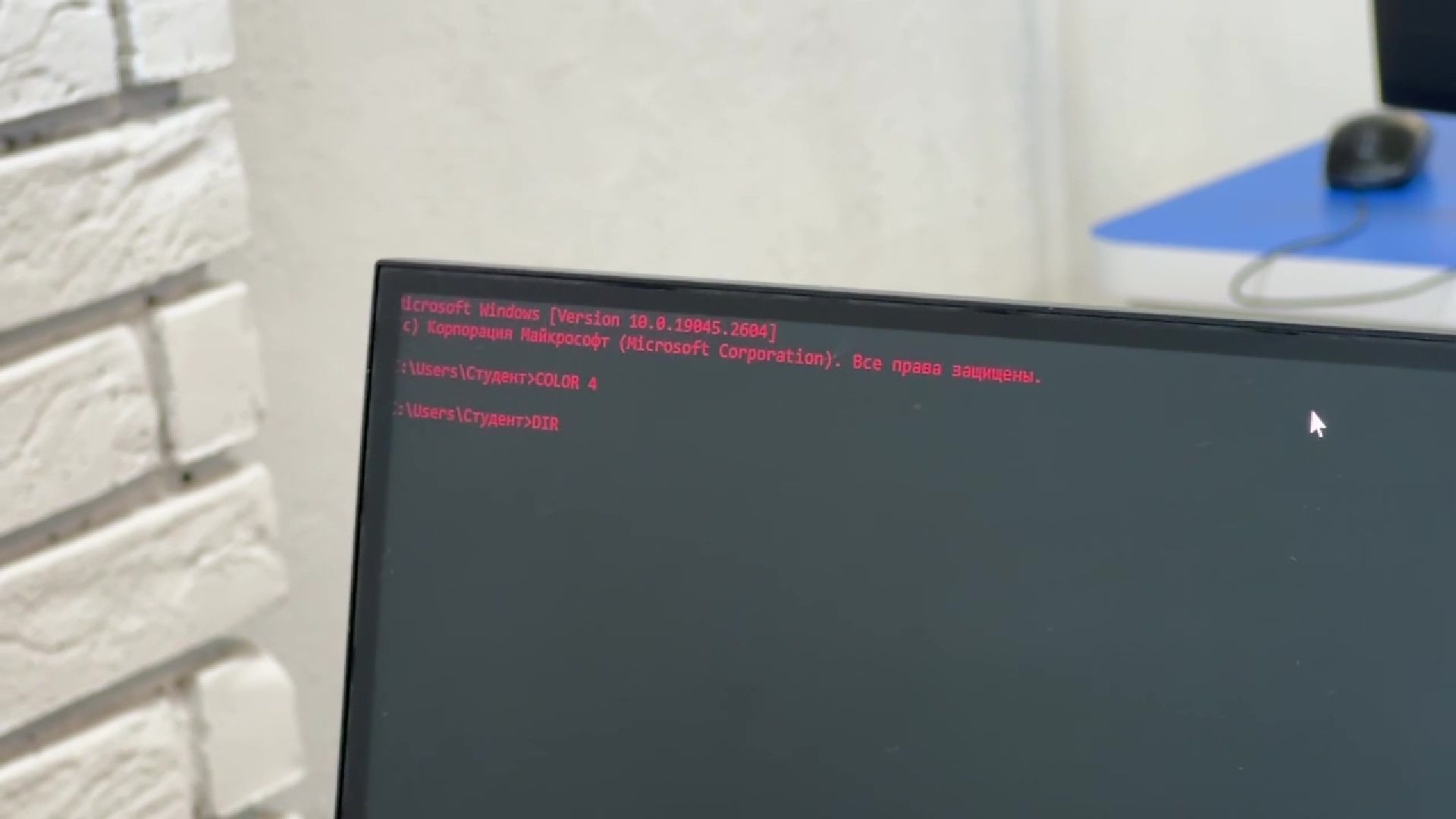 Реутов, образование, IT, технологии, лагерь, дети,