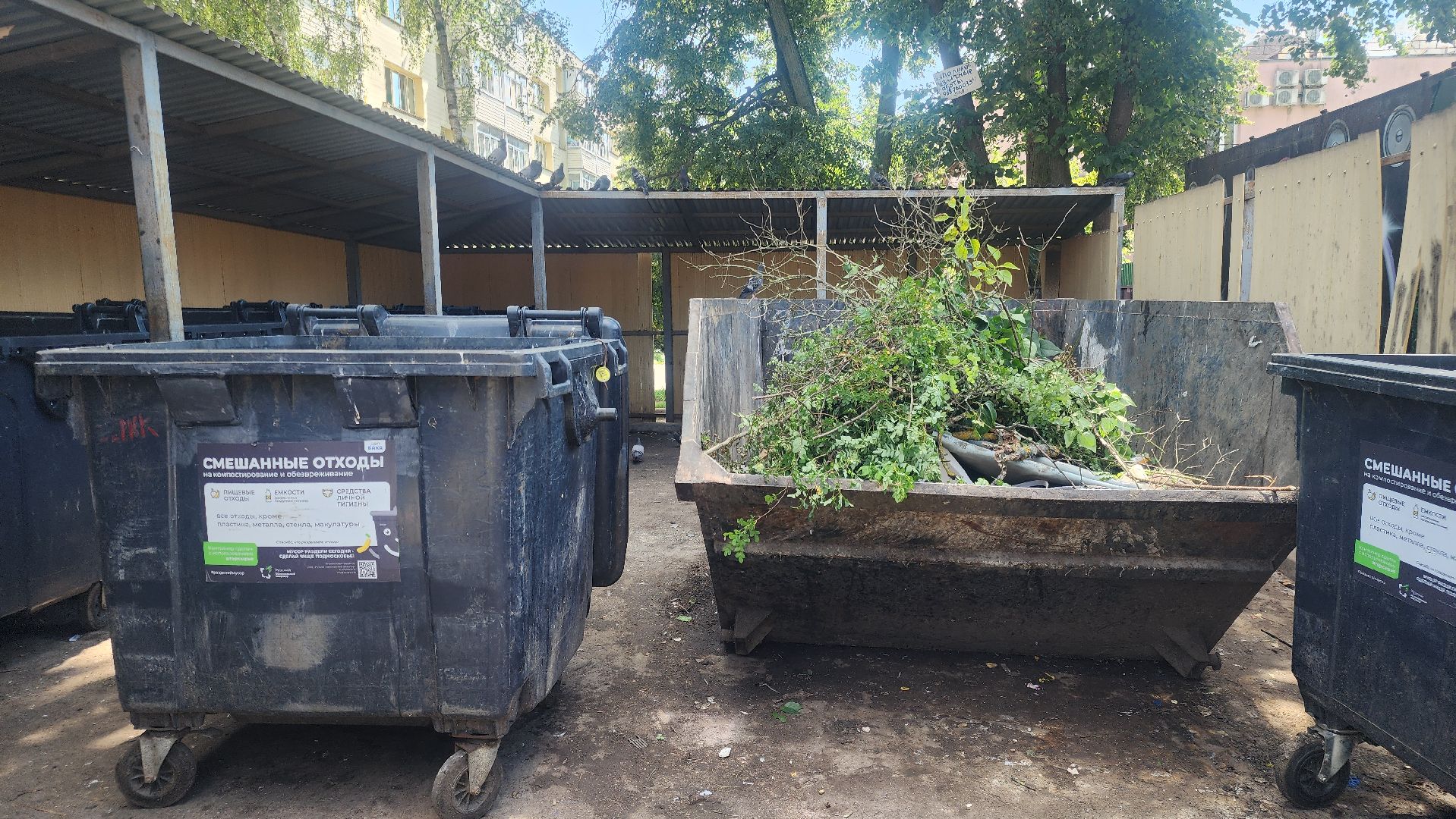 Звенигород, волонтрское движение, социальная защита,