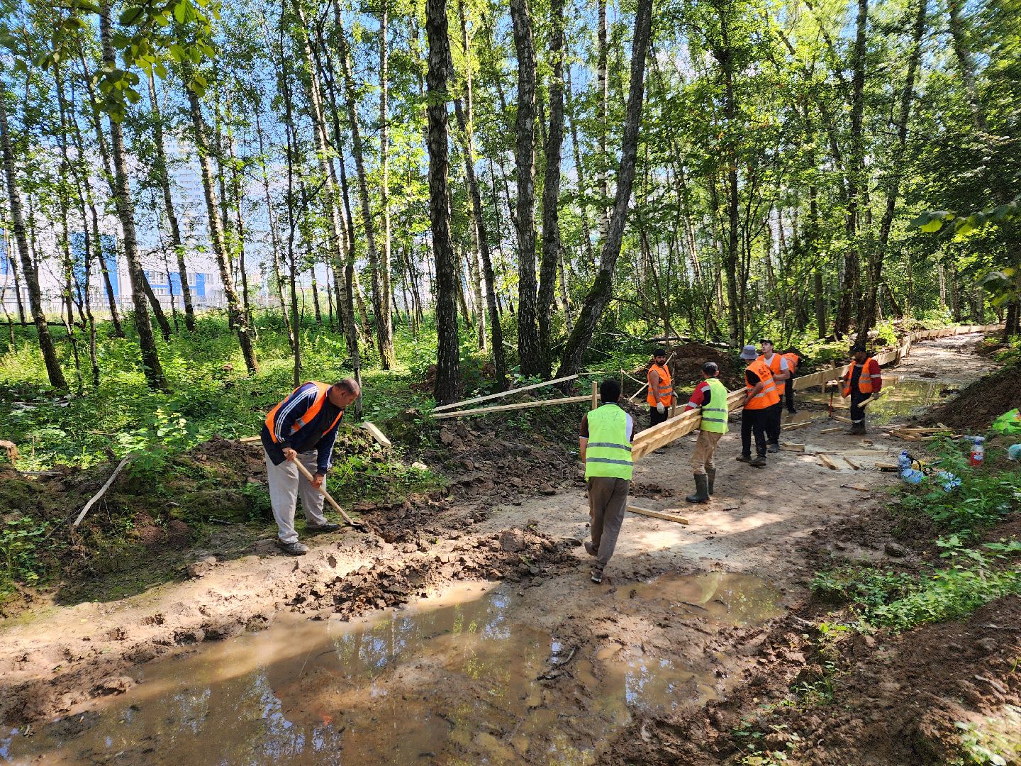 Чехов, микрорайон Губернский, строительство, лесопарк, лесопарковая зона отдыха, благоустройство, программа Парки в лесу, губернатор Московской области Андрей Воробьев, глава администрации го Чехов Михаил Собакин,