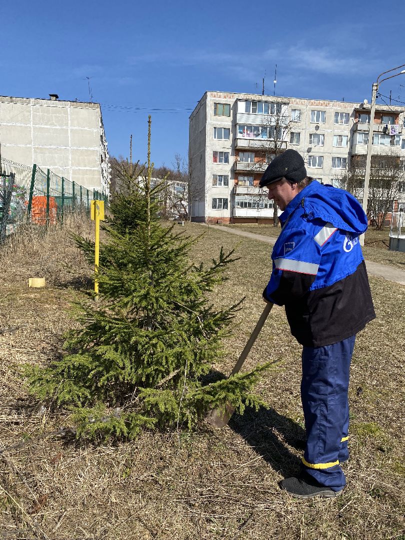 Чехов, благоустройство, перемены, житель, аллея