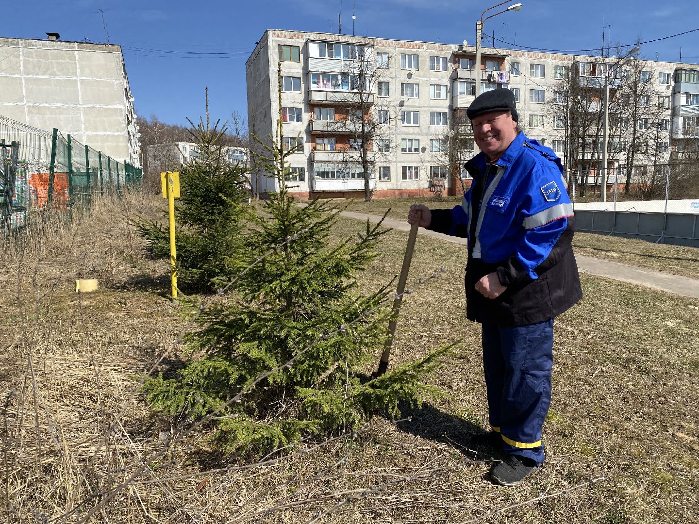 Чехов, благоустройство, перемены, житель, аллея