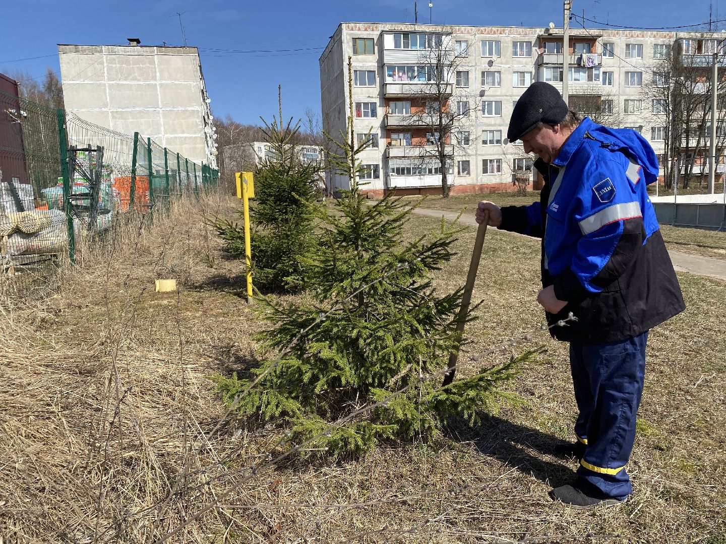 Чехов, благоустройство, перемены, житель, аллея