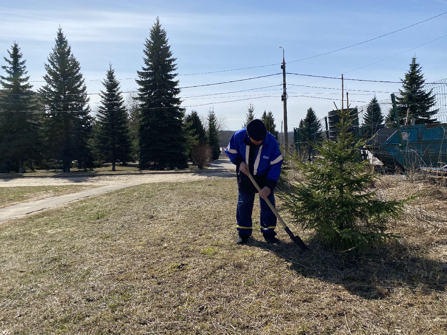 Чехов, благоустройство, перемены, житель, аллея