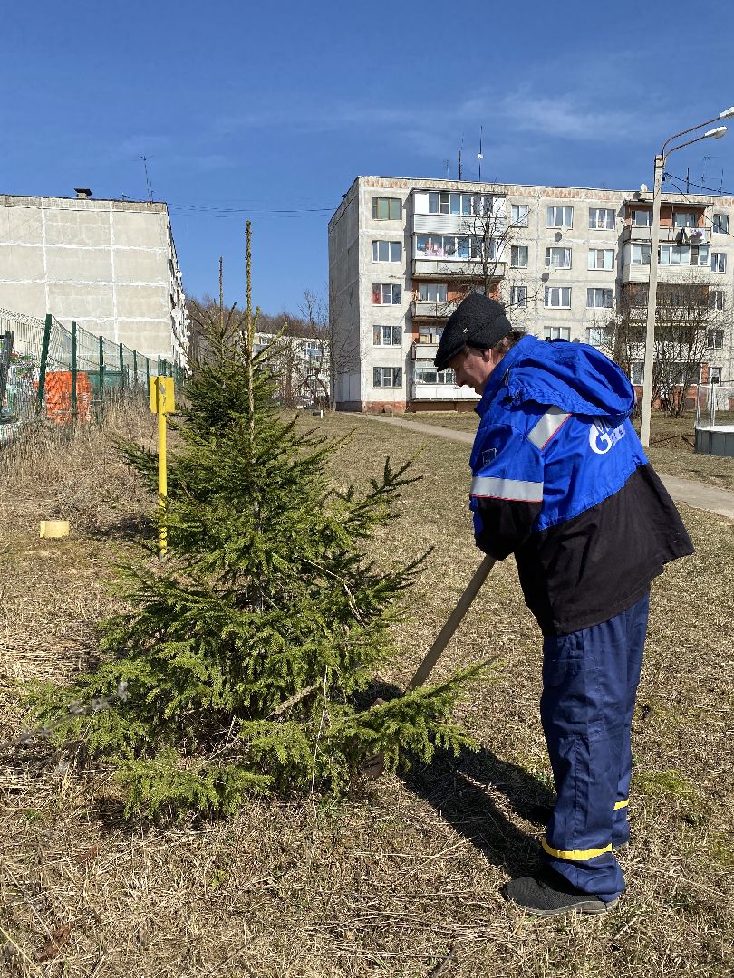 Чехов, благоустройство, перемены, житель, аллея