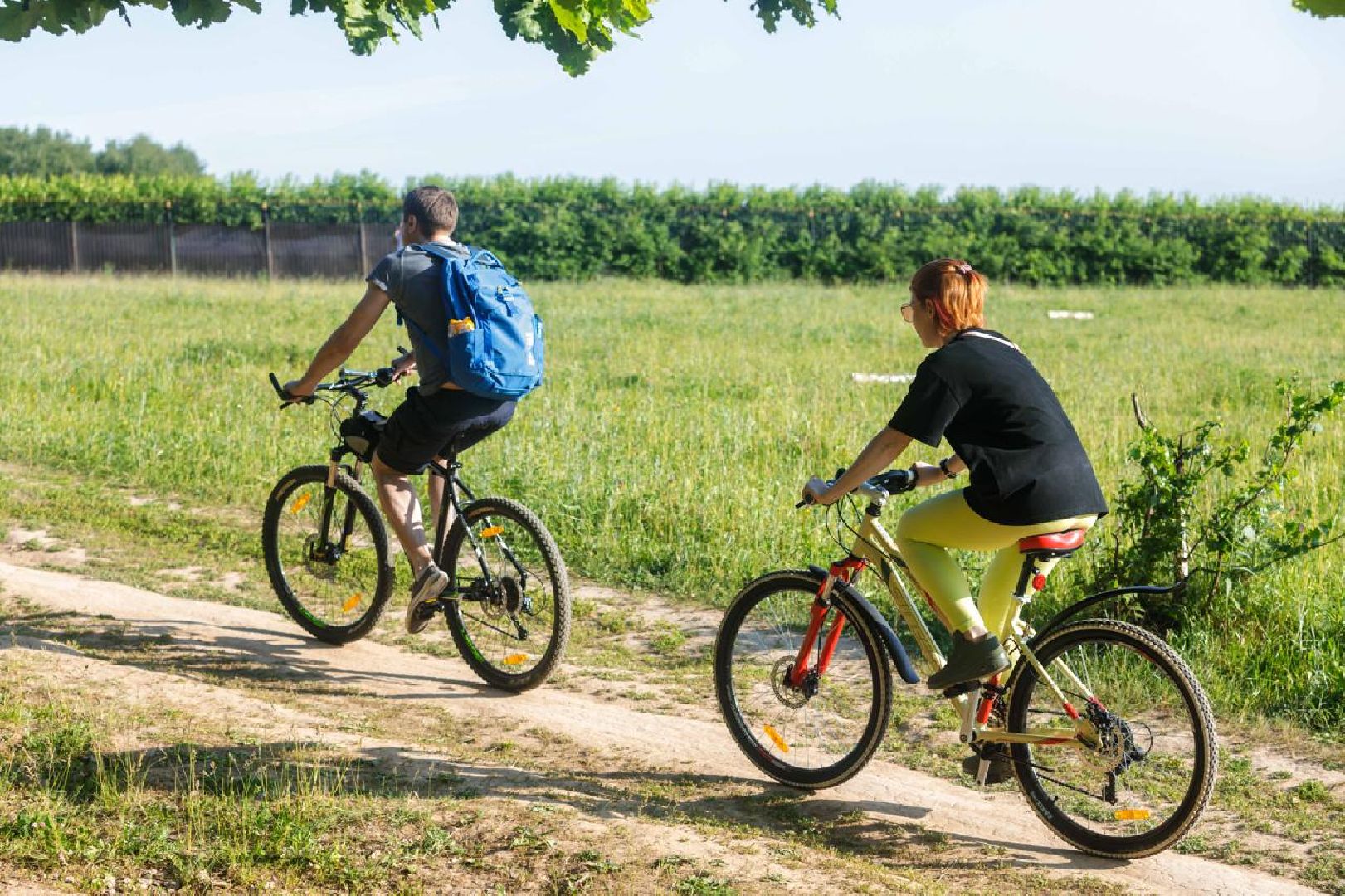 люберецкая областная больница, травматологи, пациенты, рентген, оборудование,