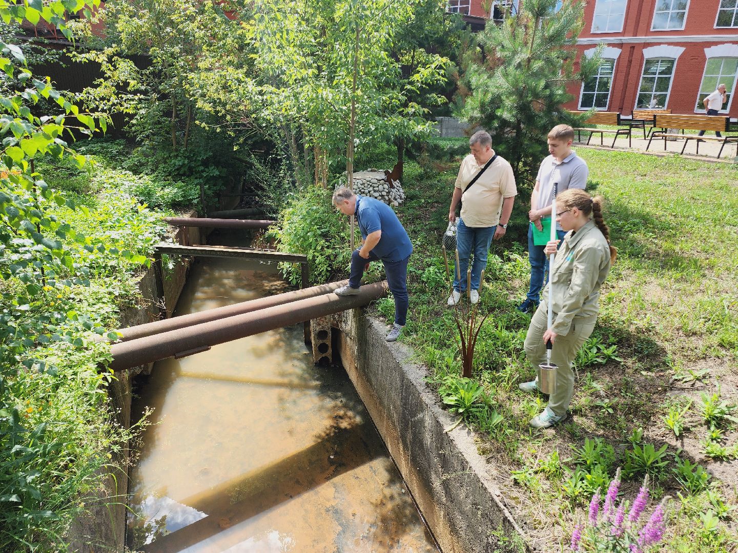 Егорьевск, Подмосковье, Московская область, Смородинка, экология,