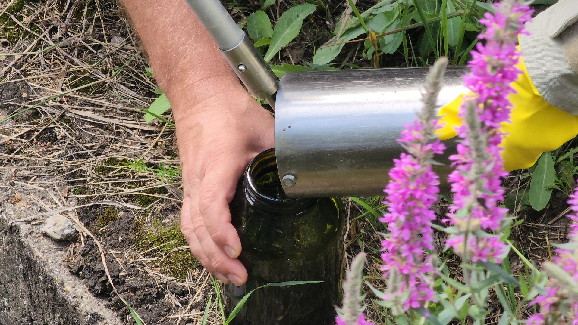 Егорьевск, Подмосковье, Московская область, Смородинка, экология,