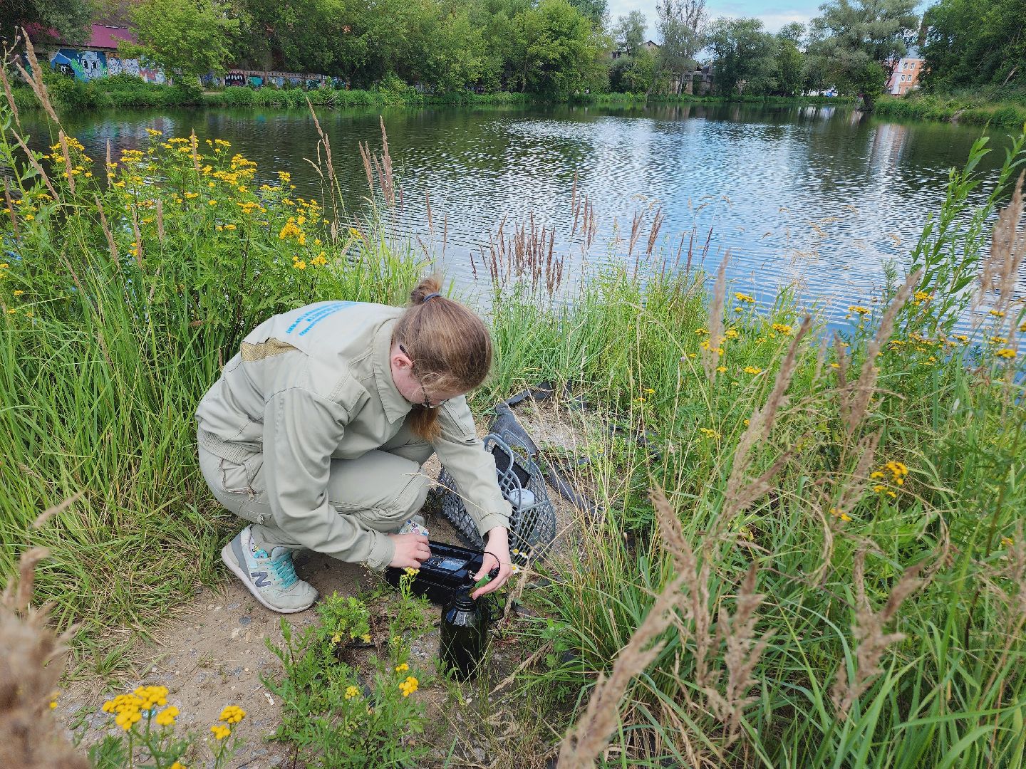 Егорьевск, Подмосковье, Московская область, Смородинка, экология,