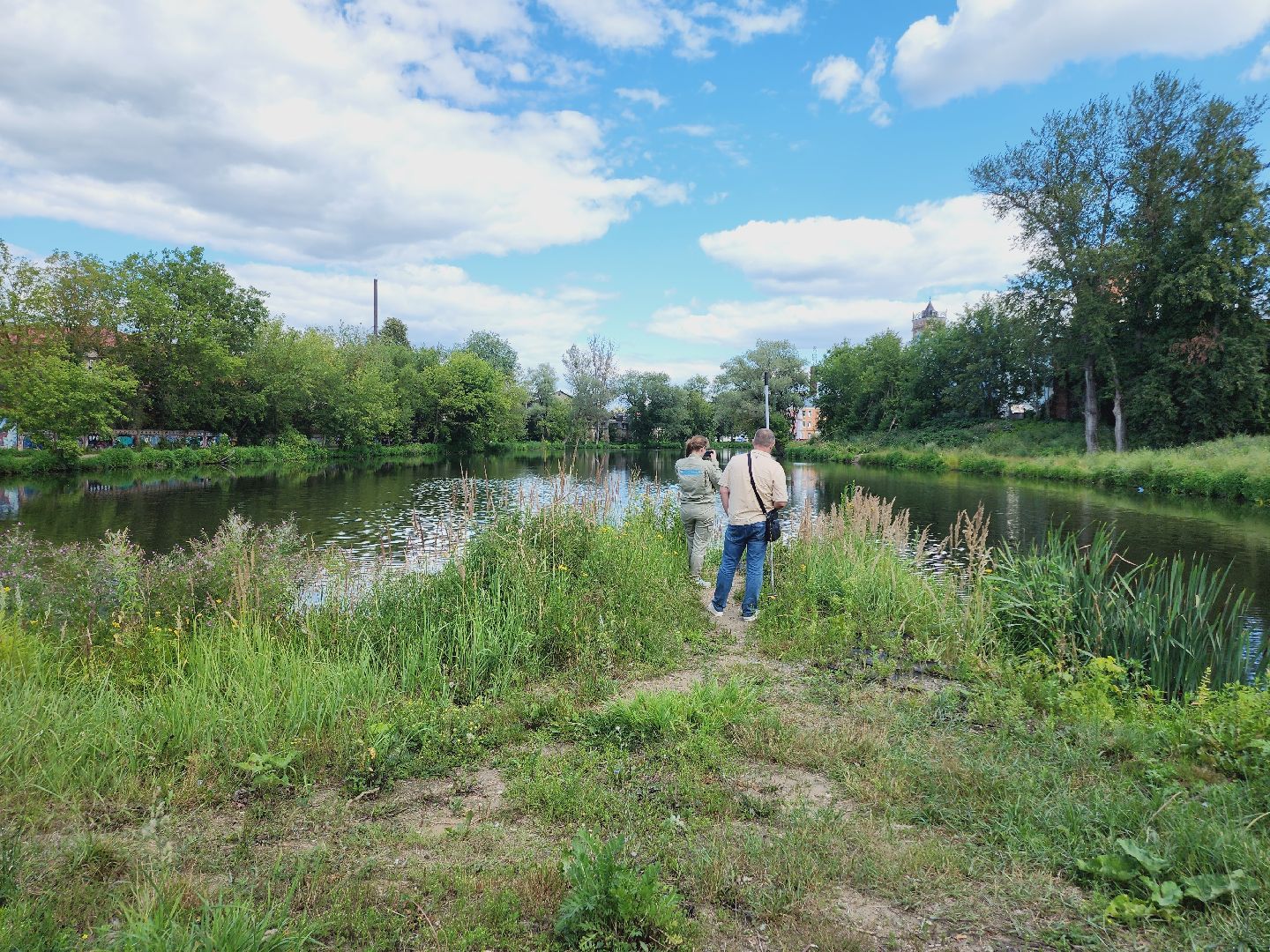 Егорьевск, Подмосковье, Московская область, Смородинка, экология,