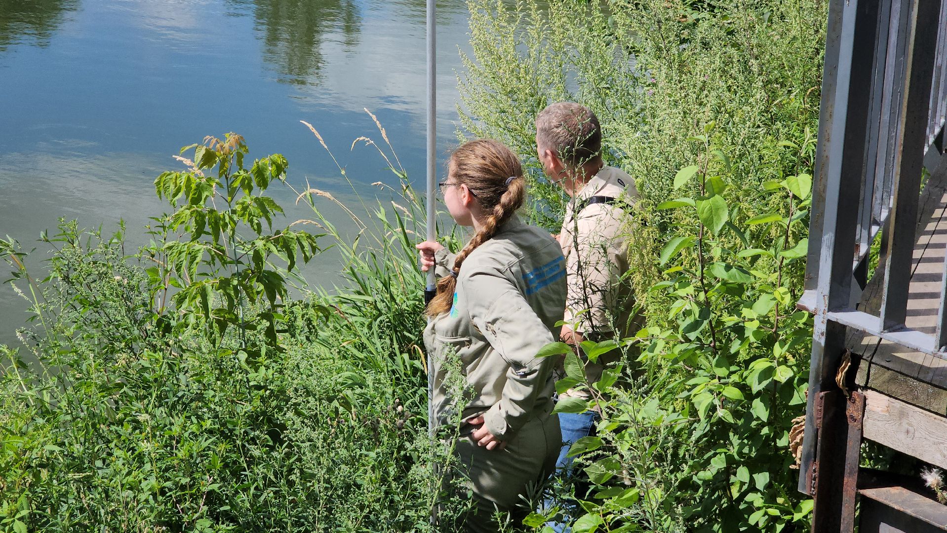 Егорьевск, Подмосковье, Московская область, Смородинка, экология,