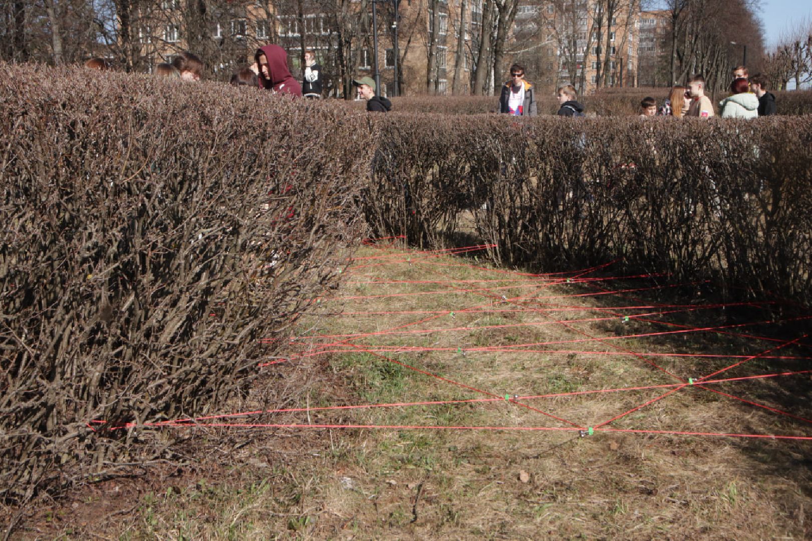 Пущино, молодёжь, волонтёры,