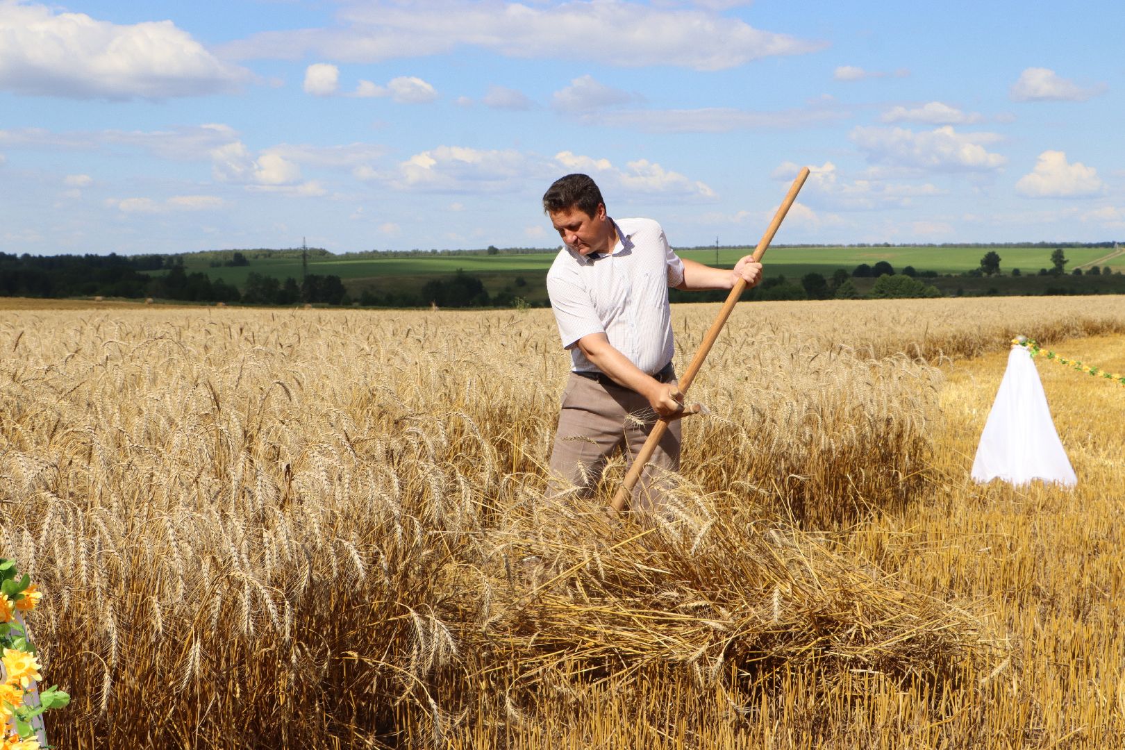 уборочная 2024, урожай 2024, Праздник Первого снопа, Серебряные Пруды, Коровино, СП Нива,