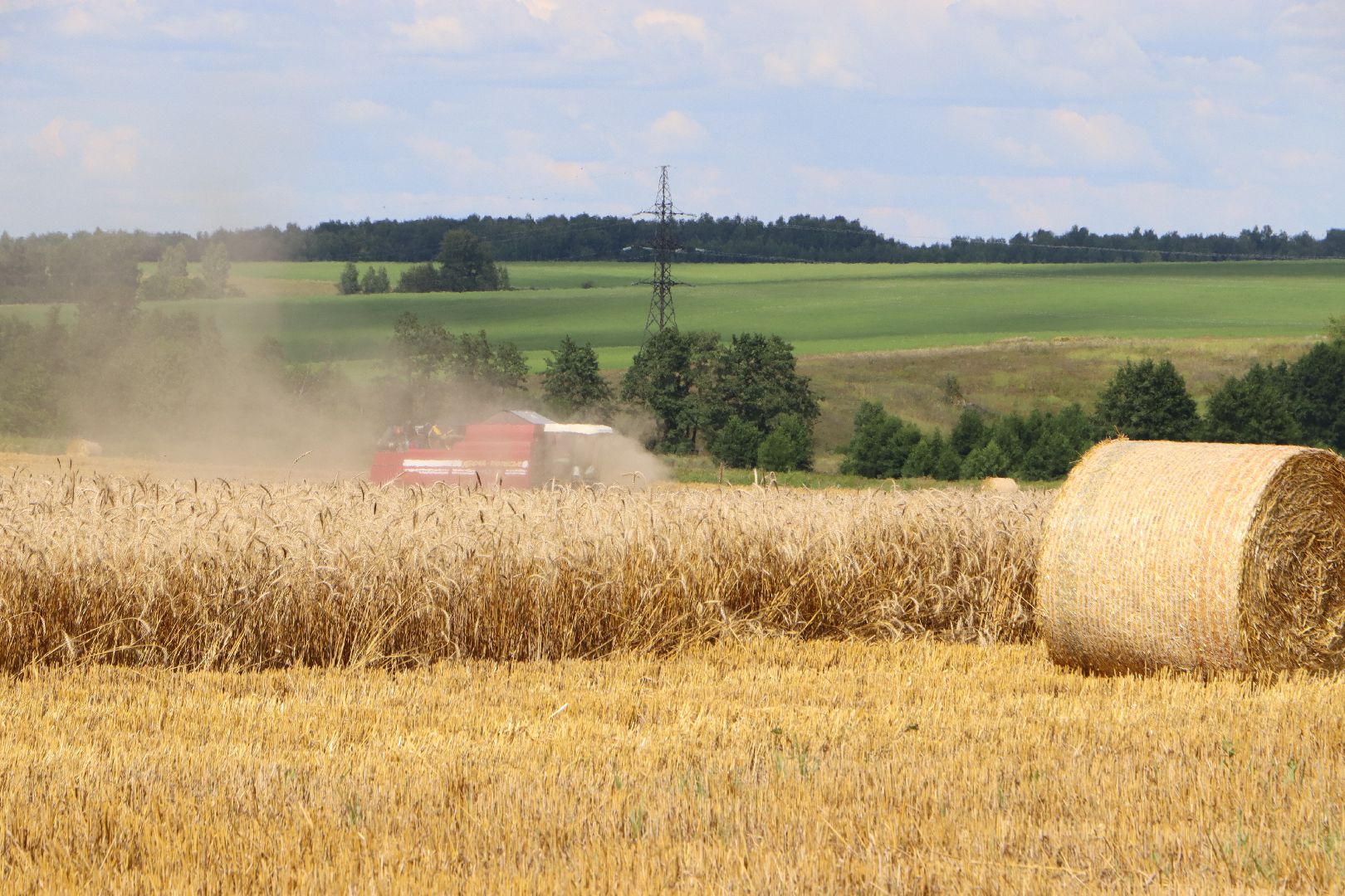 уборочная 2024, урожай 2024, Праздник Первого снопа, Серебряные Пруды, Коровино, СП Нива,