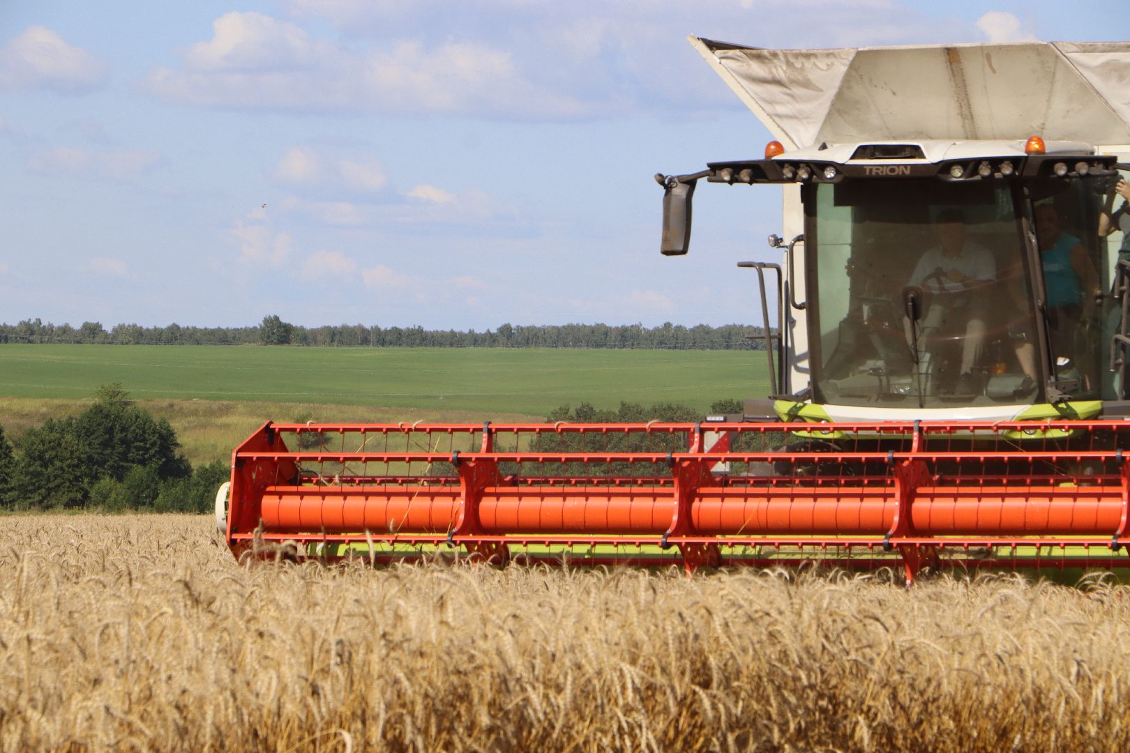 уборочная 2024, урожай 2024, Праздник Первого снопа, Серебряные Пруды, Коровино, СП Нива,