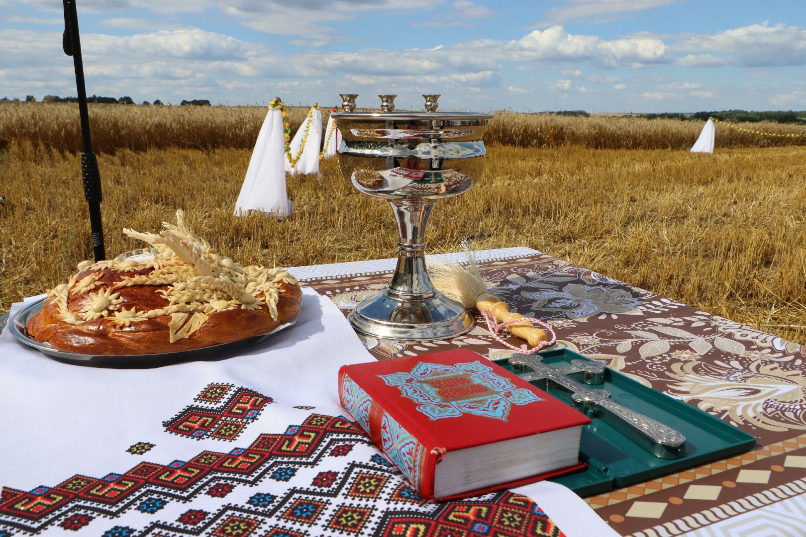 уборочная 2024, урожай 2024, Праздник Первого снопа, Серебряные Пруды, Коровино, СП Нива,