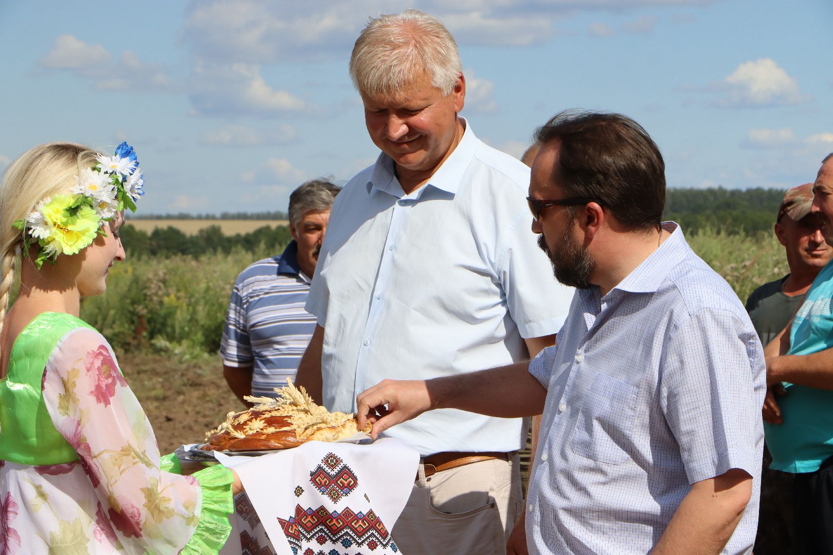 уборочная 2024, урожай 2024, Праздник Первого снопа, Серебряные Пруды, Коровино, СП Нива,