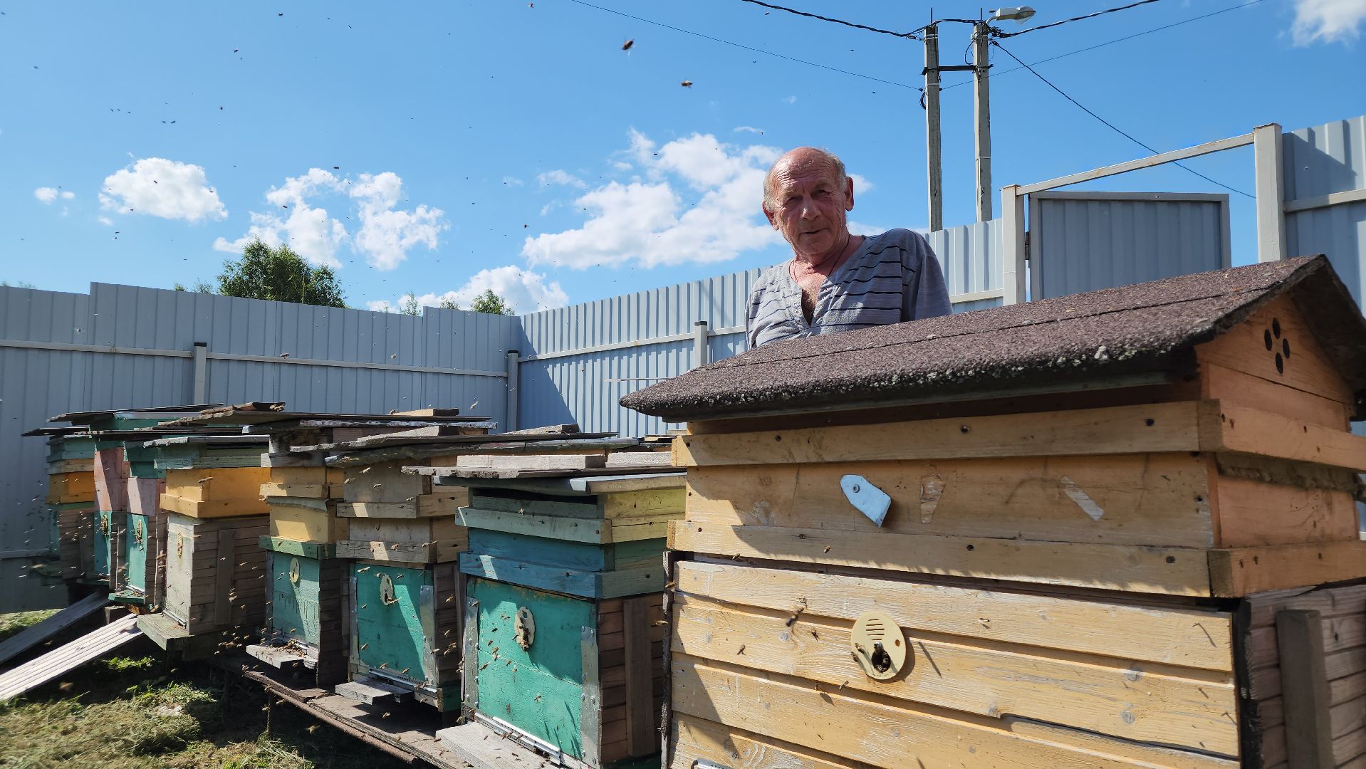 хобби, пасека, ступино,