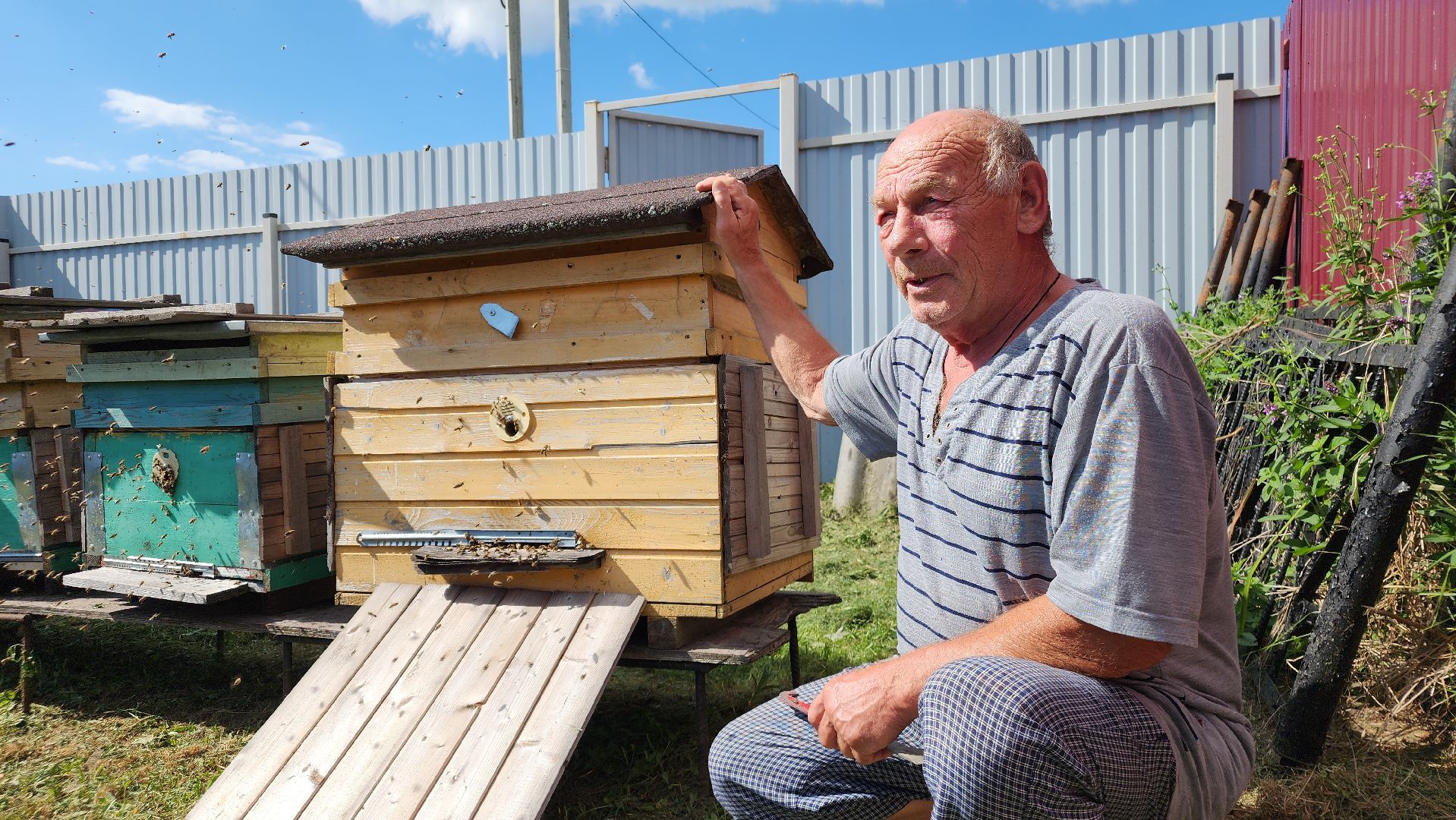 хобби, пасека, ступино,