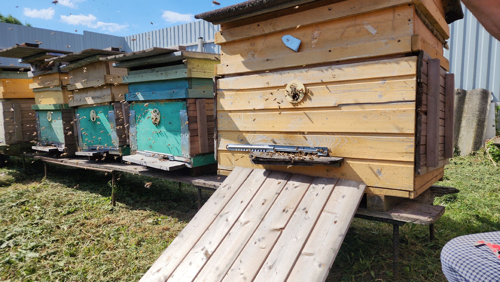 хобби, пасека, ступино,