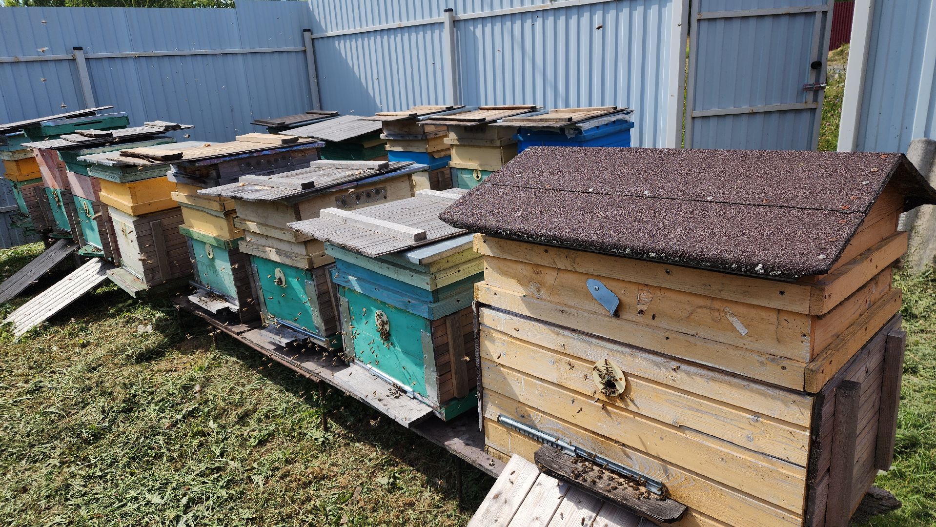 хобби, пасека, ступино,