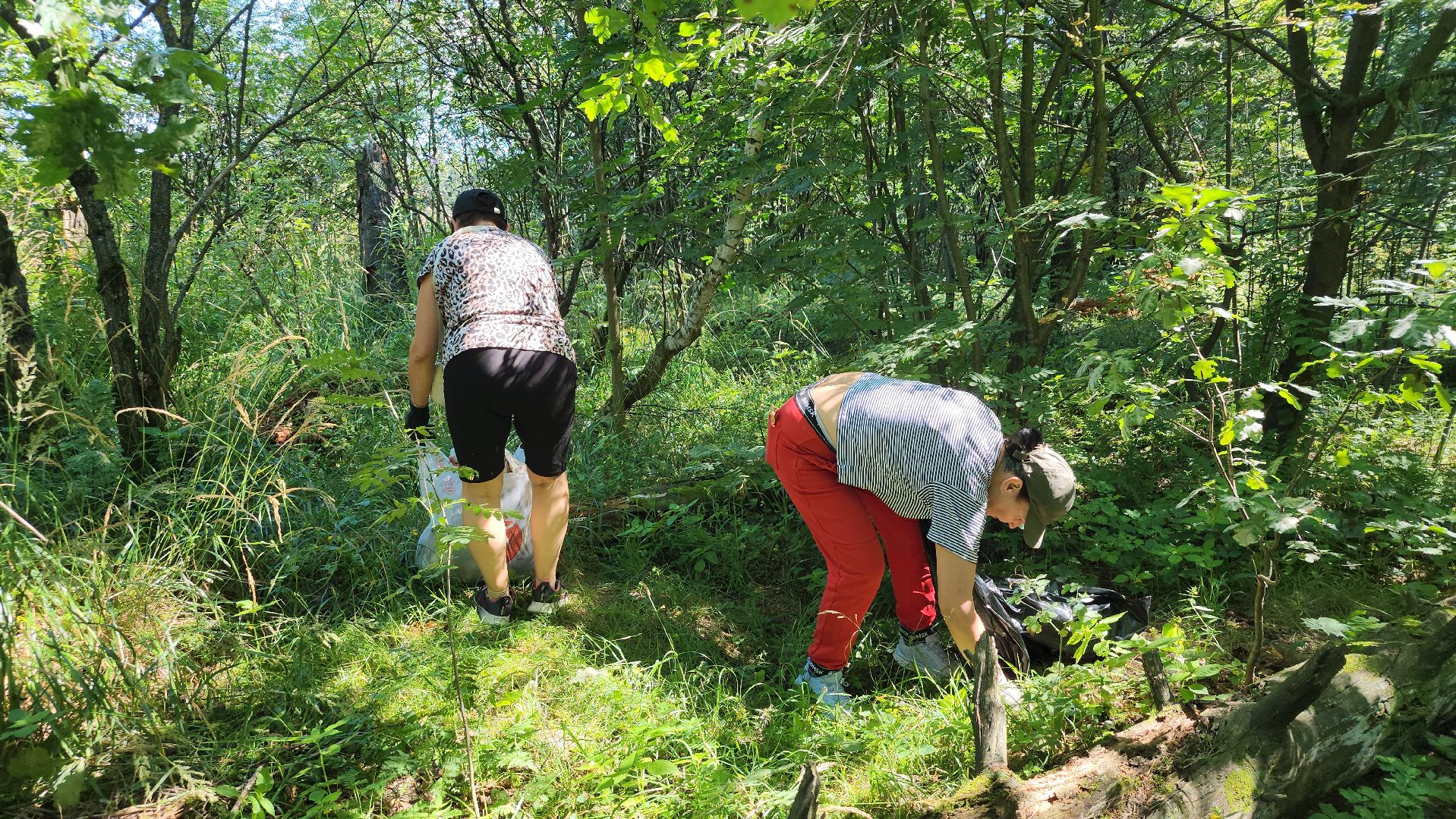 экологическая акция, уборка леса, Активное долголетие, Старая Купавна, Богородский городской округ,