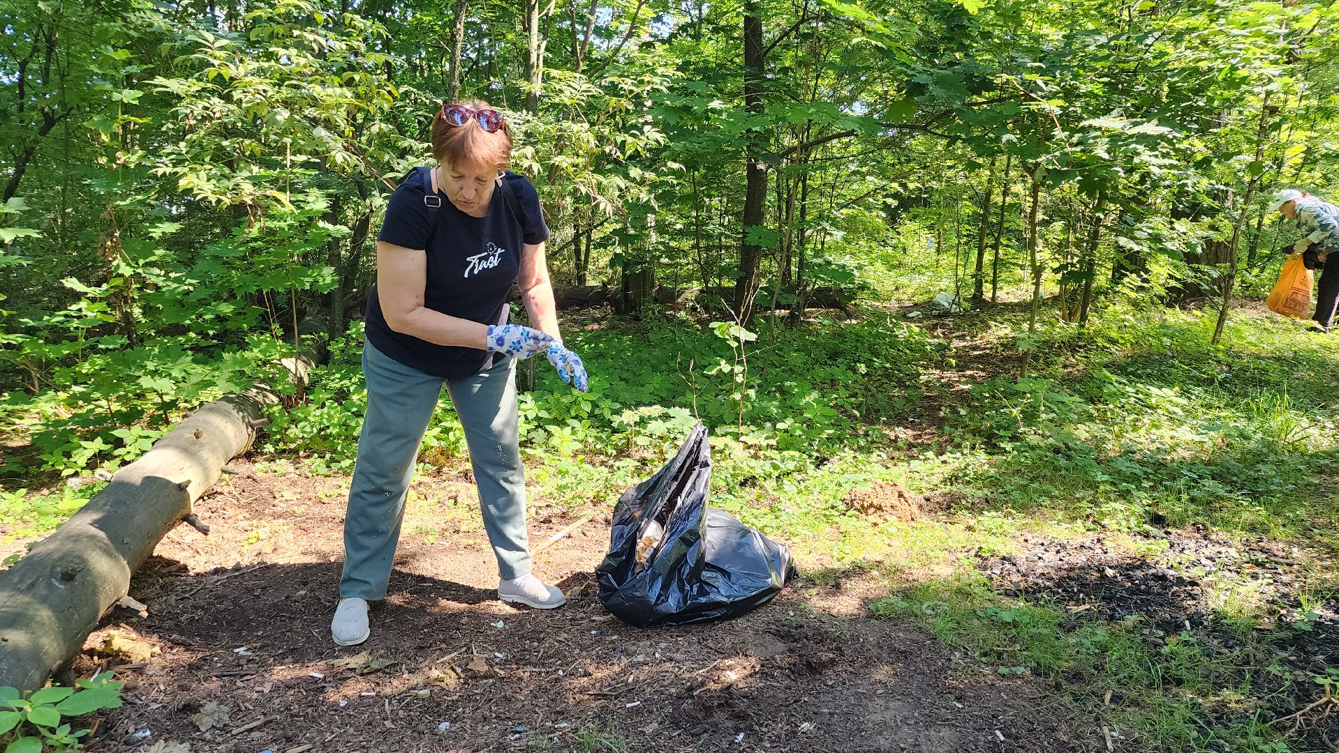 экологическая акция, уборка леса, Активное долголетие, Старая Купавна, Богородский городской округ,