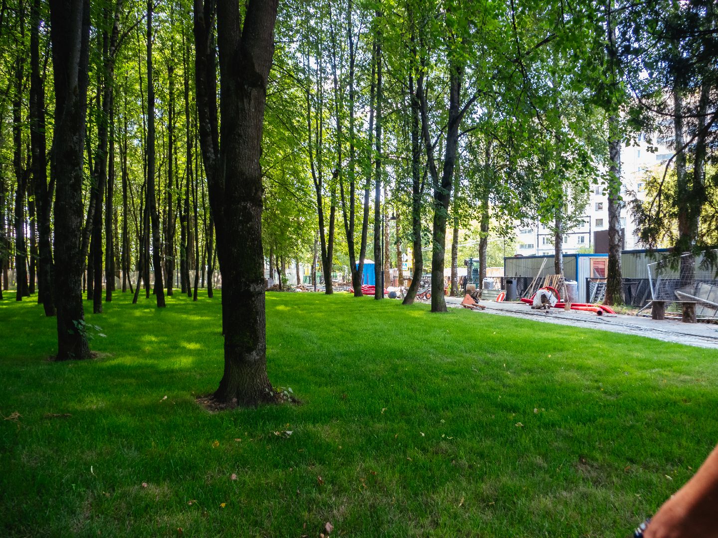 подмосковье, дедовск, благоустройство, парки,