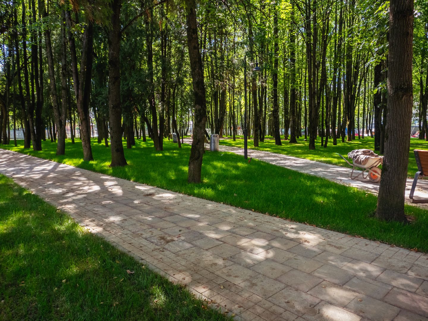 подмосковье, дедовск, благоустройство, парки,