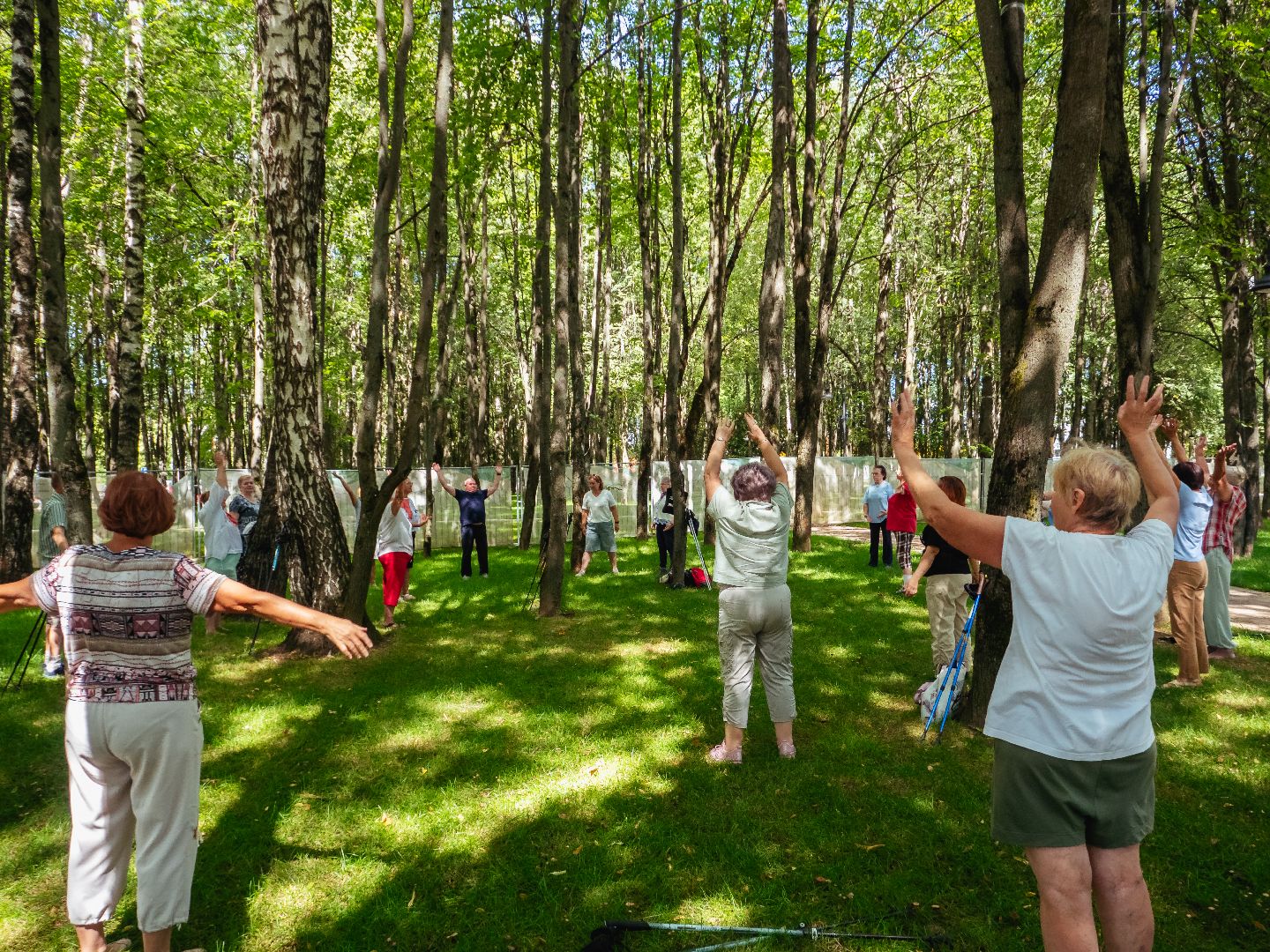 подмосковье, дедовск, благоустройство, парки,