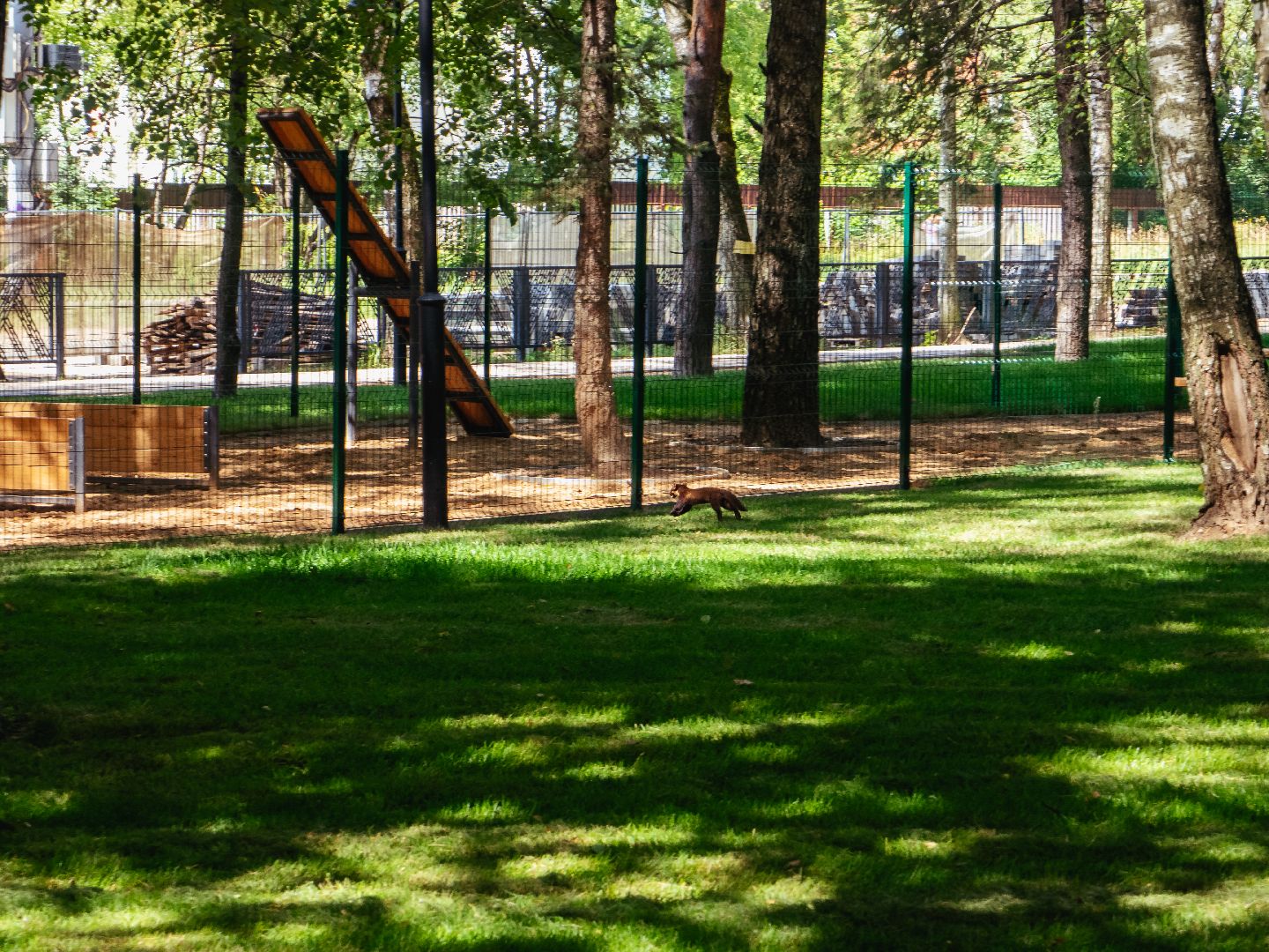 подмосковье, дедовск, благоустройство, парки,