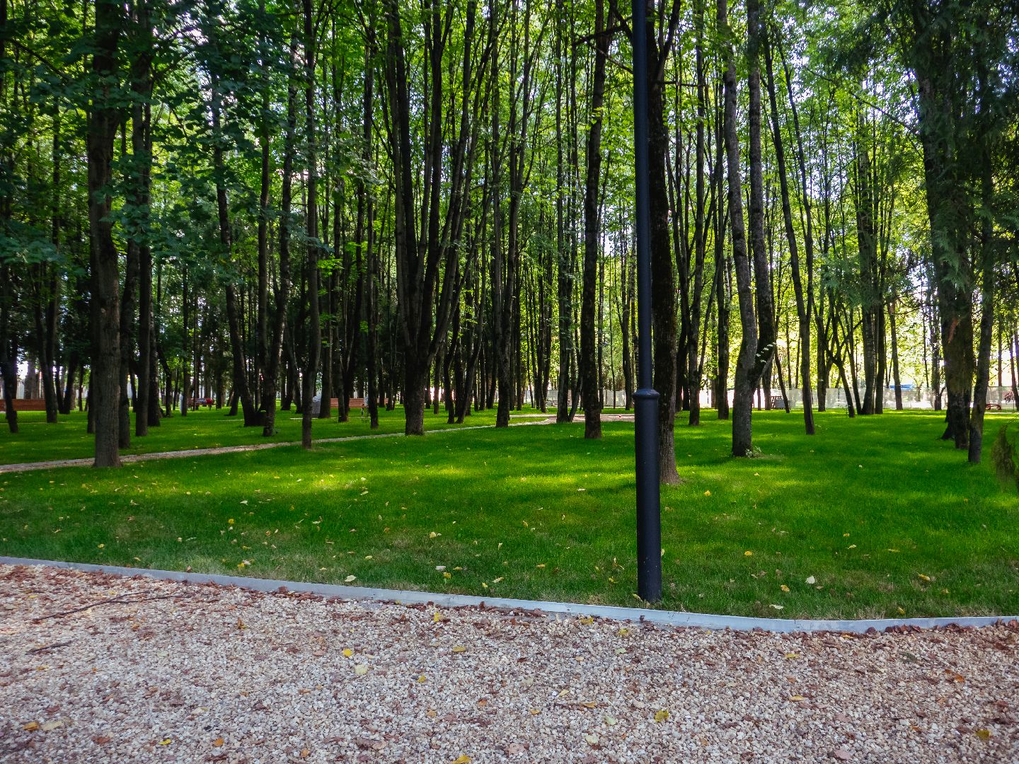 подмосковье, дедовск, благоустройство, парки,