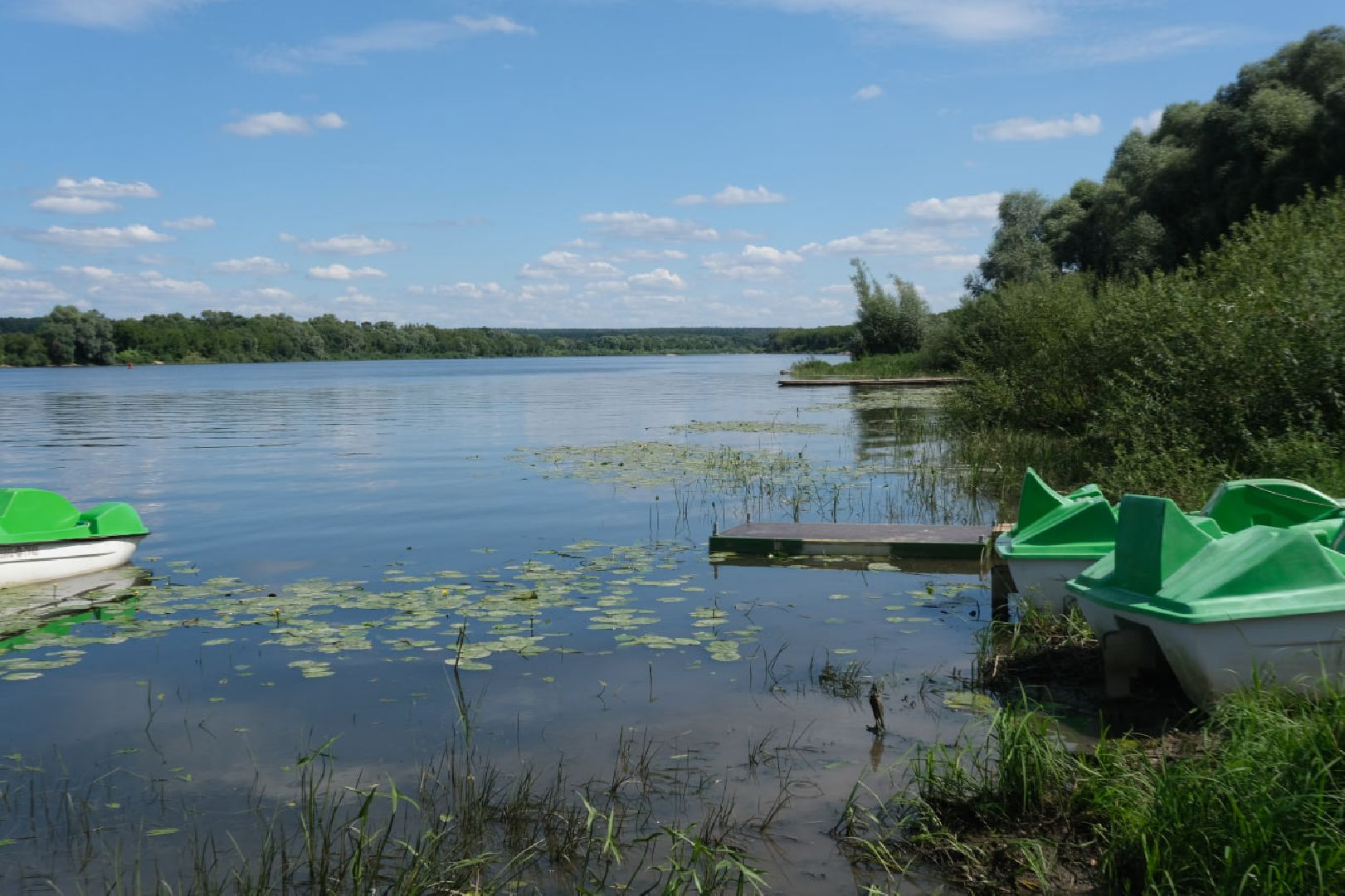 пущино, серпухов, лето в подмосковье, нко,