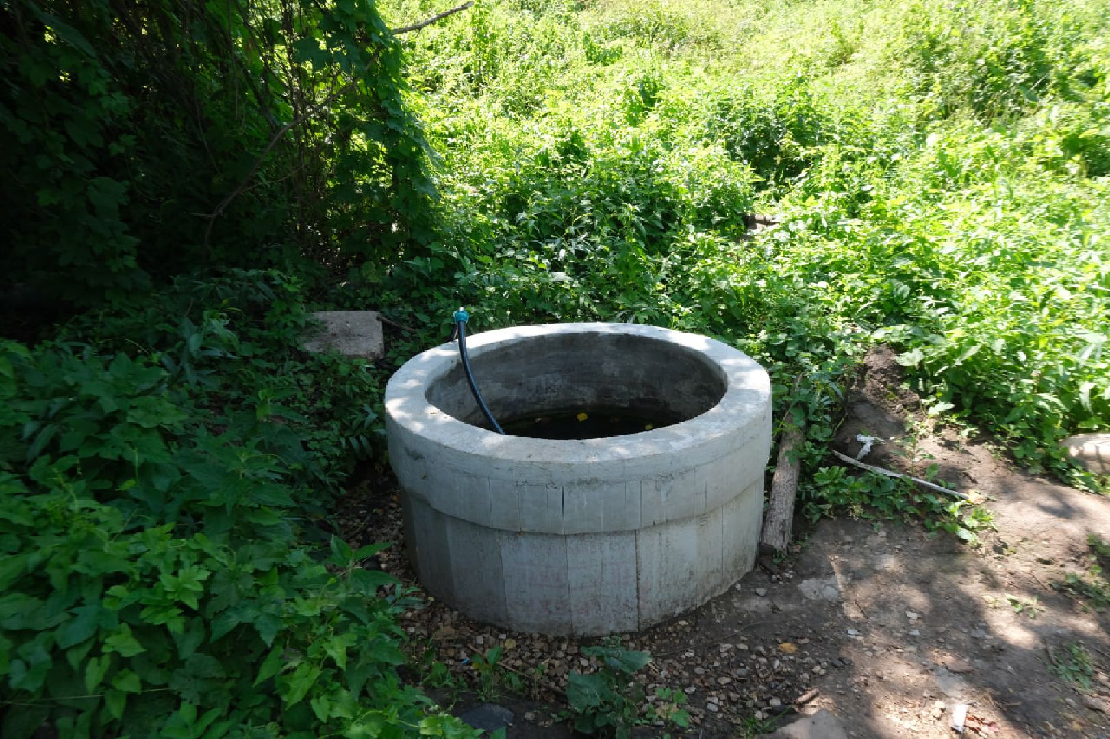 пущино, серпухов, лето в подмосковье, нко,