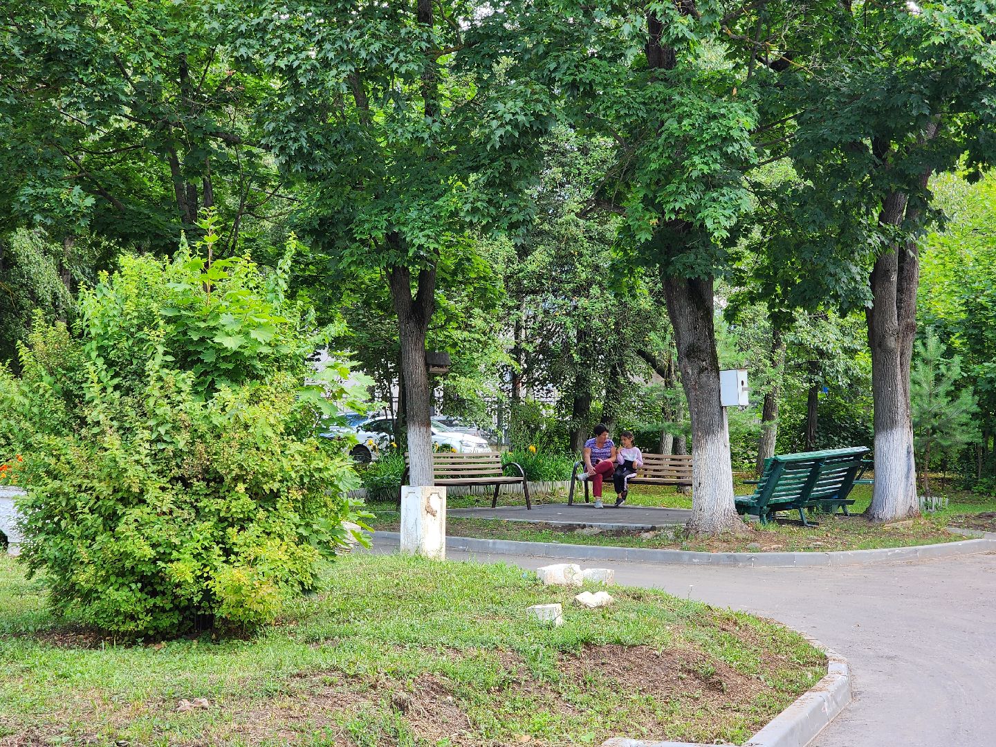 чехов, дворы, дворовые территории, комплексное благоустройство, формирование комфортной городской среды, адресный перечень, план на 2024 год, проезды, тротуары, парковки, детские площадки,