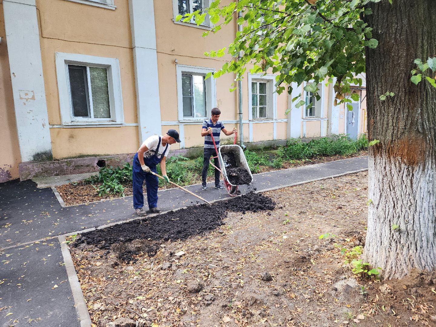 чехов, дворы, дворовые территории, комплексное благоустройство, формирование комфортной городской среды, адресный перечень, план на 2024 год, проезды, тротуары, парковки, детские площадки,