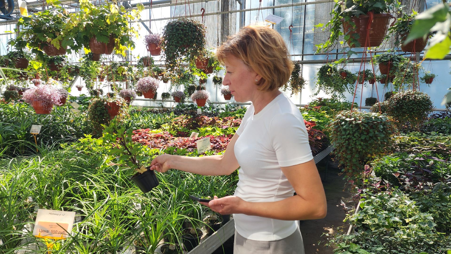 активное долголетие, мастер-класс, экскурсия,