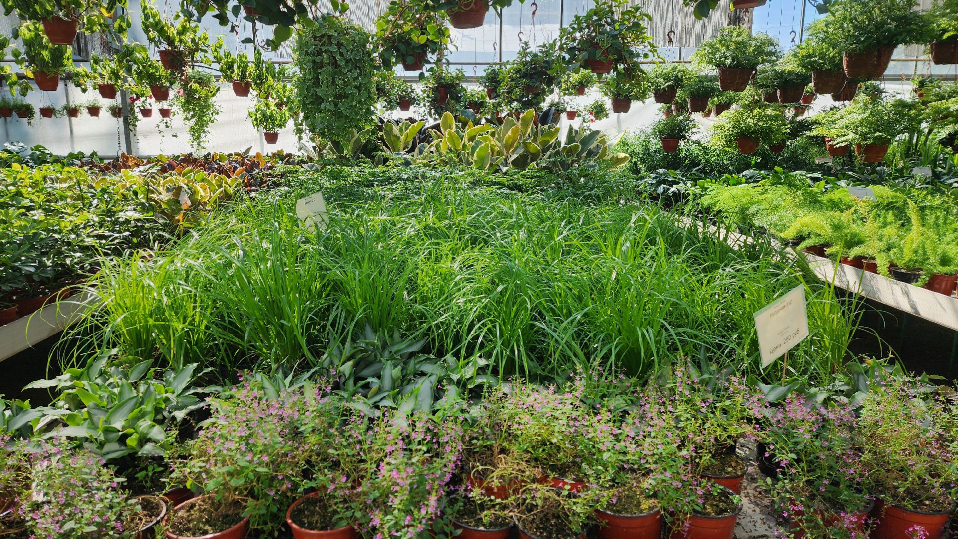 активное долголетие, мастер-класс, экскурсия,