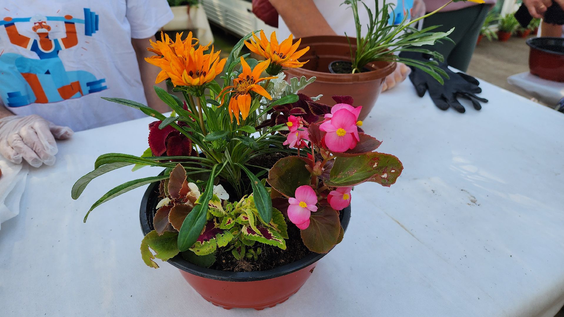 активное долголетие, мастер-класс, экскурсия,