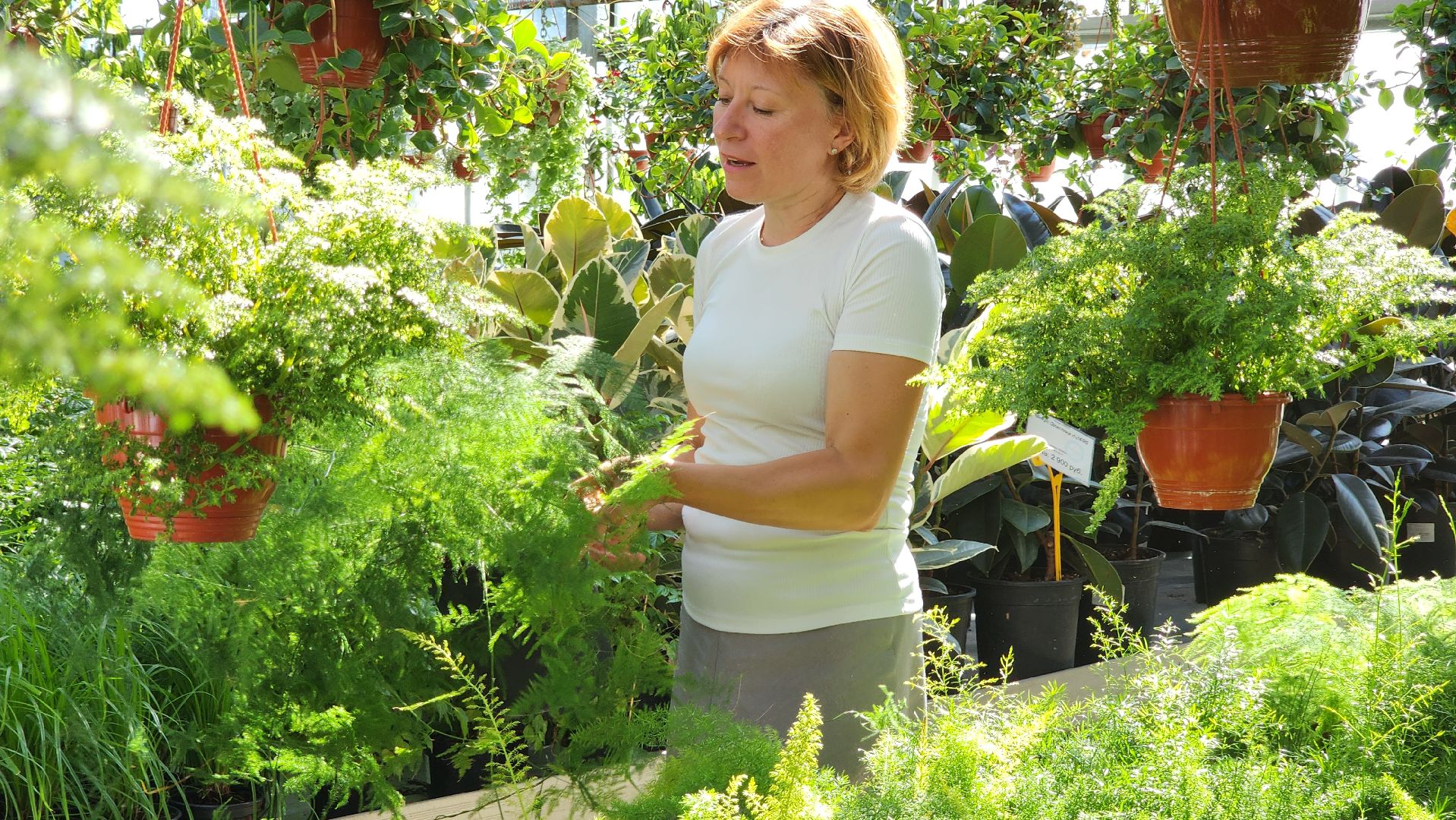 активное долголетие, мастер-класс, экскурсия,
