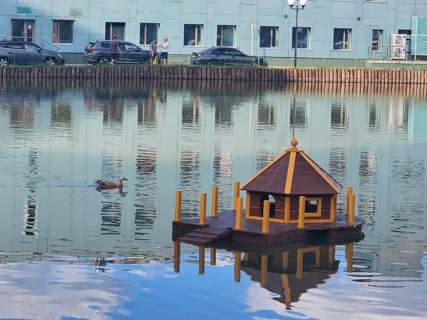 корм для уток, утки, алексеевский пруд, мытищи,