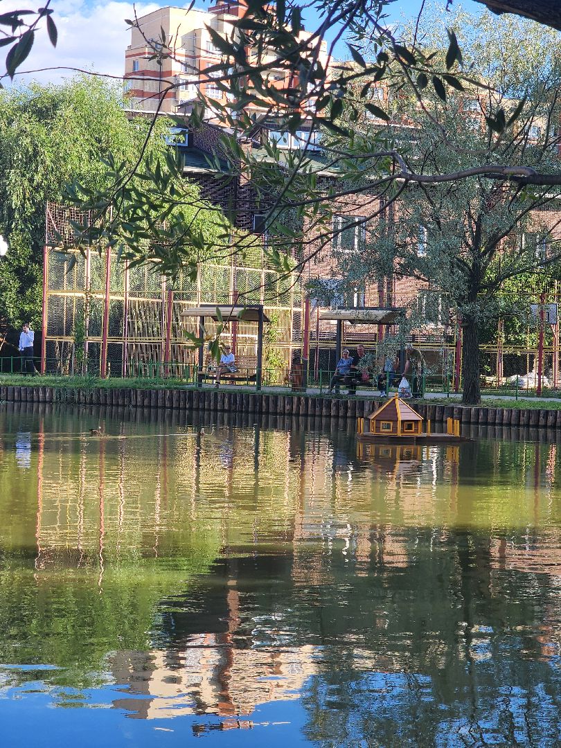 корм для уток, утки, алексеевский пруд, мытищи,