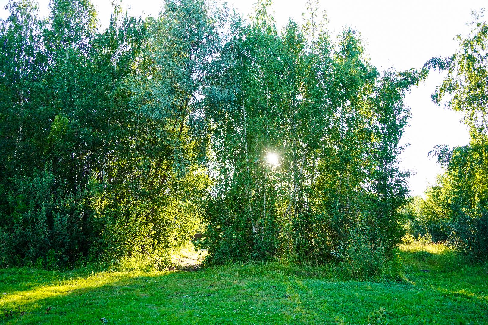 выездная администрация, Благоустройство, диалог с властью, Шатура,