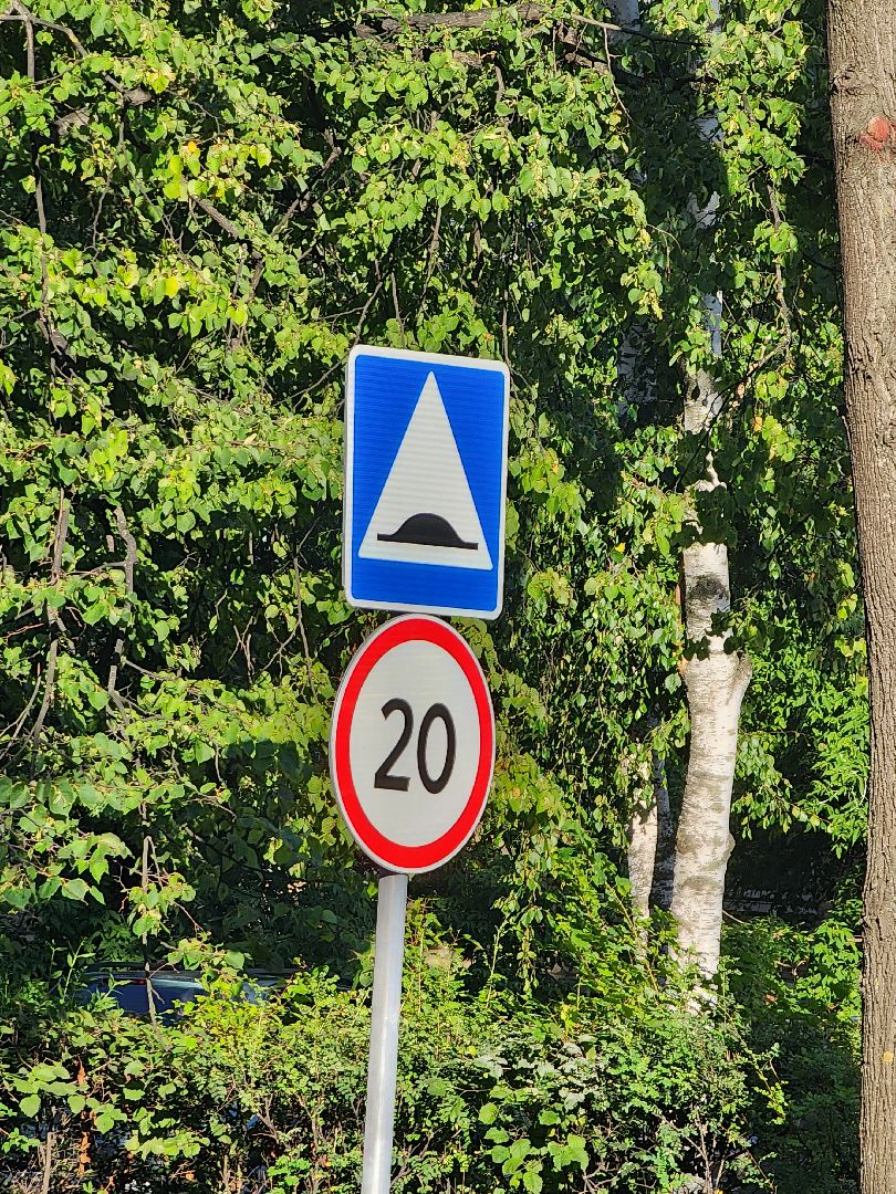 лежачий полицейский, пешеходный переход,