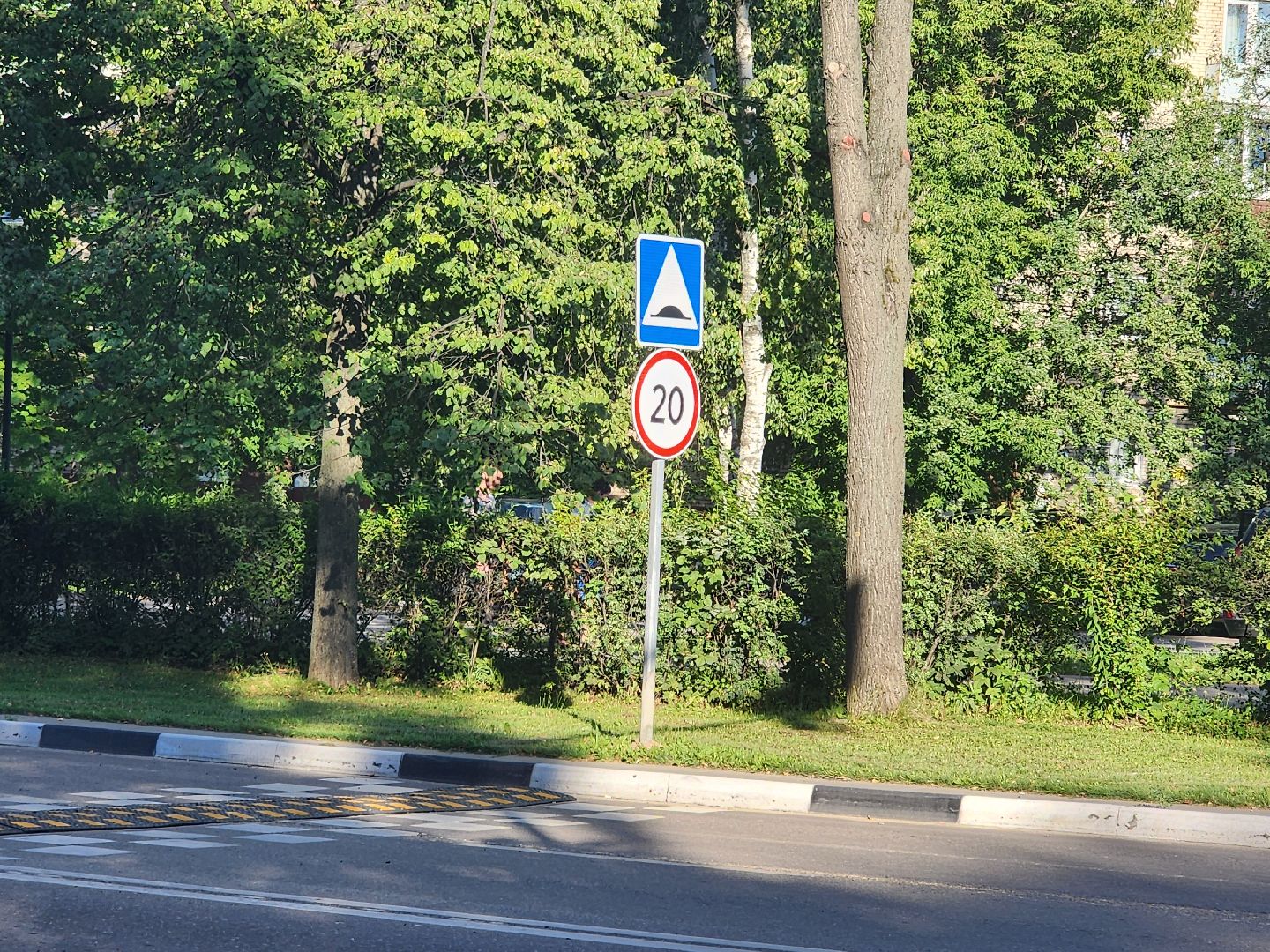 лежачий полицейский, пешеходный переход,