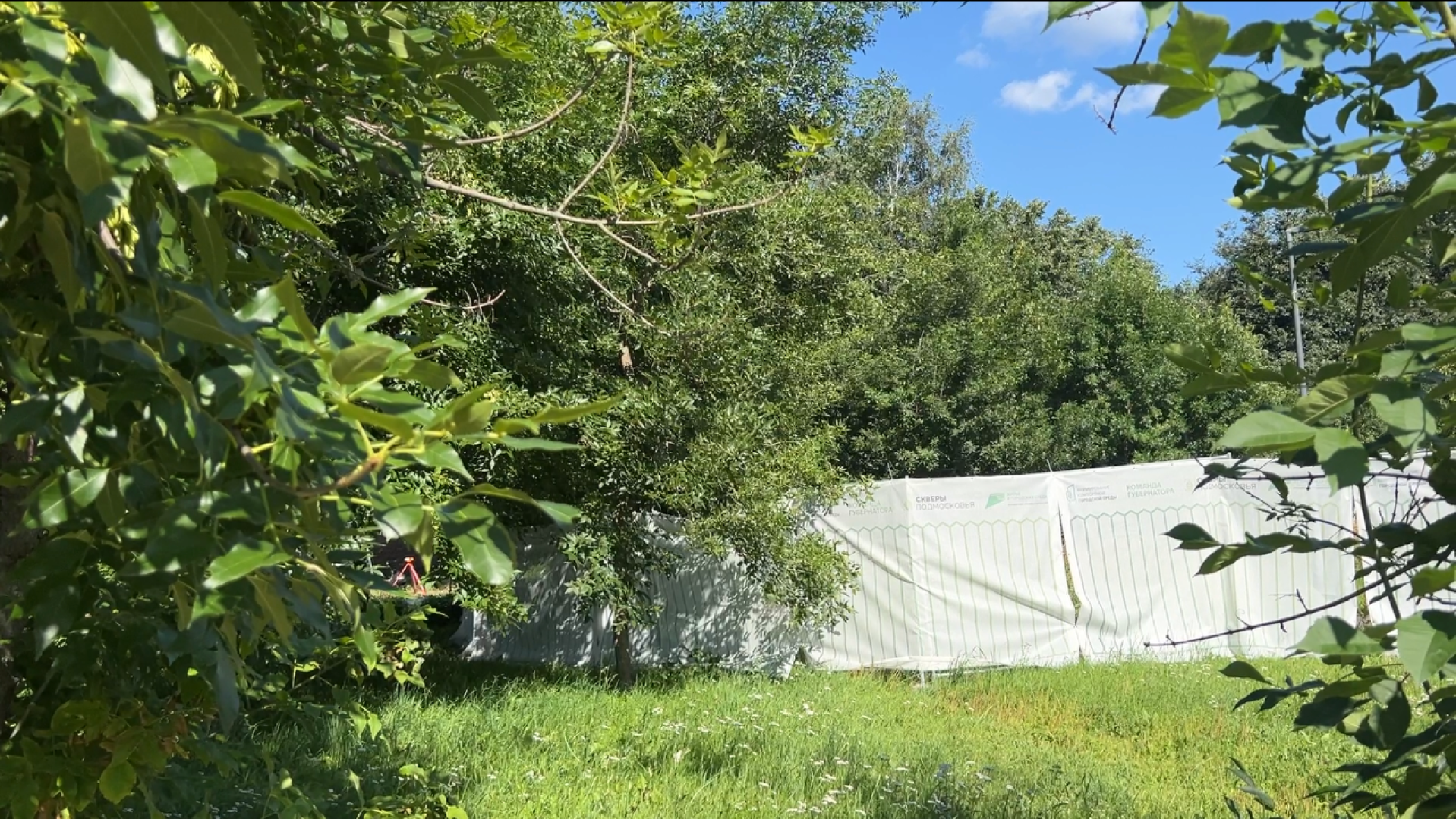 химки, сквер, благоустройство, скейт площадка, памп трек,активный отдых,