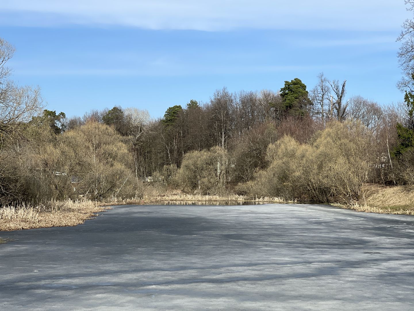 Зайцево, Одинцово, пруд, экология, очистка, сток, загрязнение,