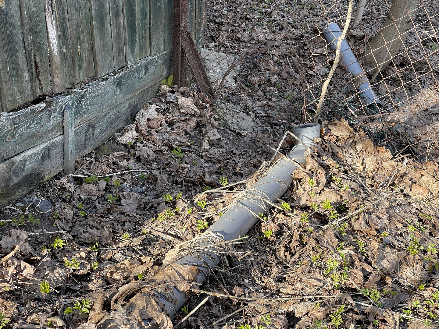 Зайцево, Одинцово, пруд, экология, очистка, сток, загрязнение,